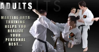 Martial Arts Lessons