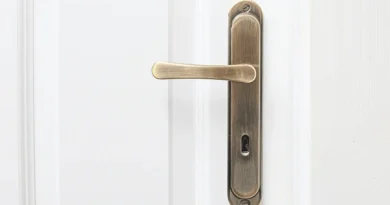 Door Handle