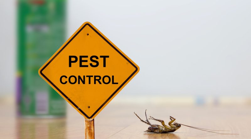 pest control