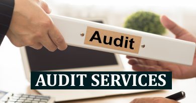 Audit